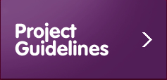 Project Guidelines