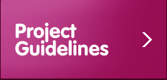 Project Guidelines