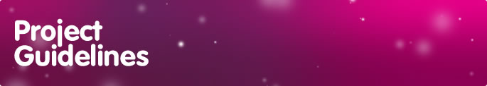 Project Guidelines